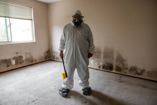 Best Industrial Mold Remediation in Queen Anne, MD